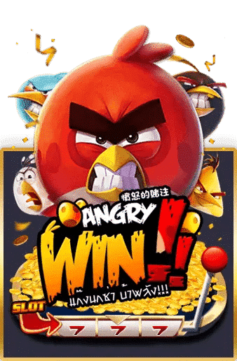 Angry win askmebet